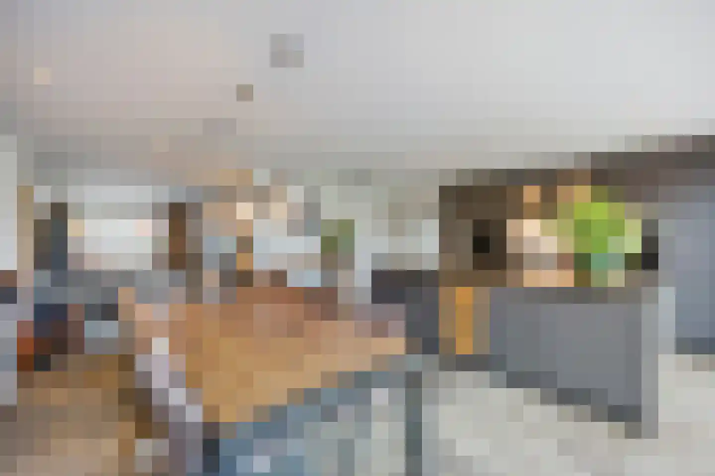 Dijkveldstraat 47 Echt thumbnail 19