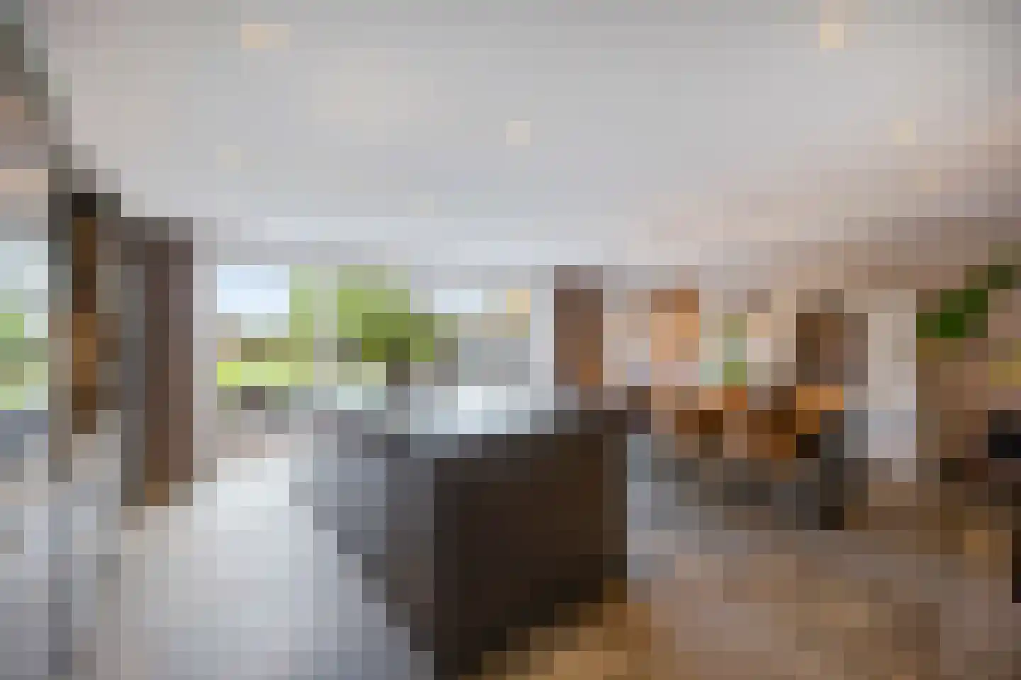 Dijkveldstraat 47 Echt thumbnail 25