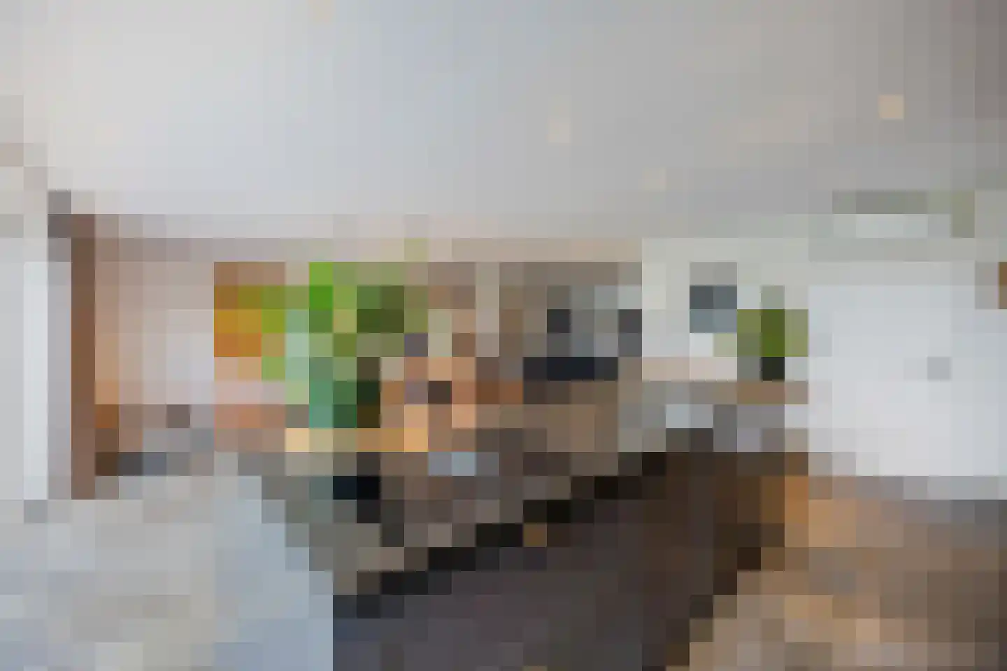 Dijkveldstraat 47 Echt thumbnail 26