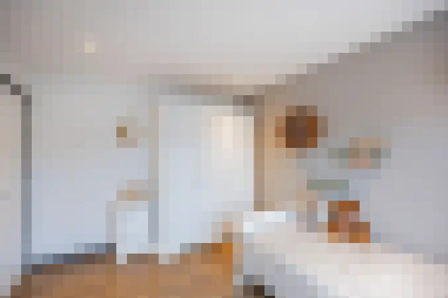 Dijkveldstraat 47 Echt thumbnail 36