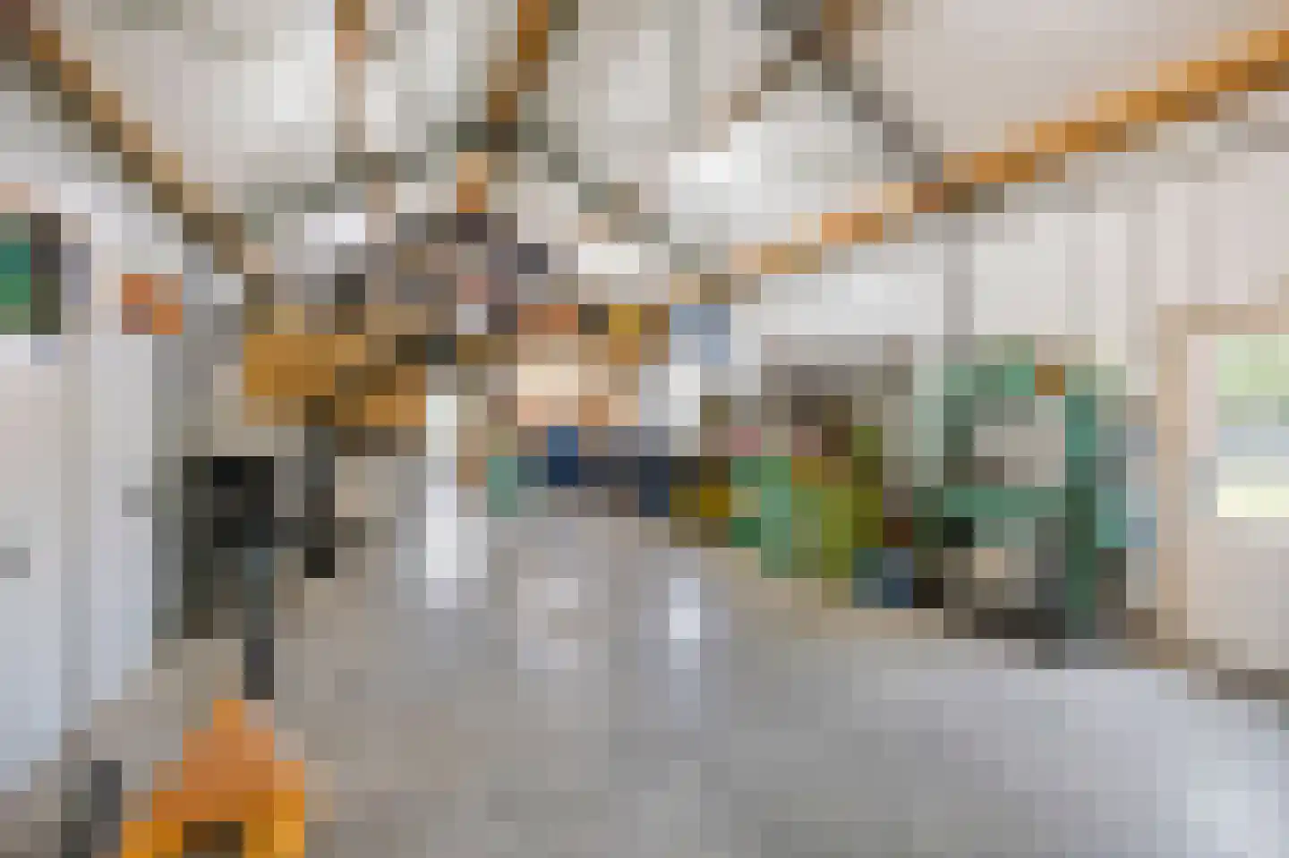 Dijkveldstraat 47 Echt thumbnail 49