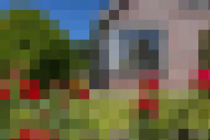 Dijkveldstraat 49 Echt thumbnail 14