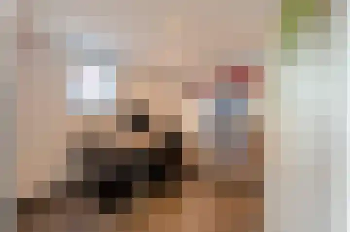 Dijkveldstraat 49 Echt thumbnail 23