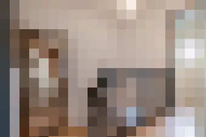 Dijkveldstraat 49 Echt thumbnail 31