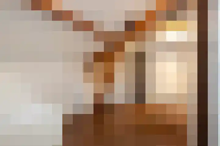 Dijkveldstraat 49 Echt thumbnail 33