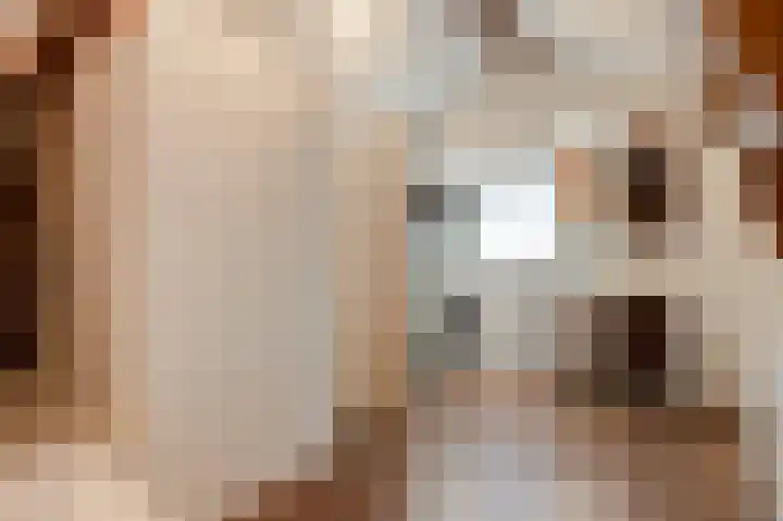 Dijkveldstraat 49 Echt thumbnail 34