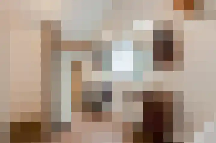 Dijkveldstraat 49 Echt thumbnail 35