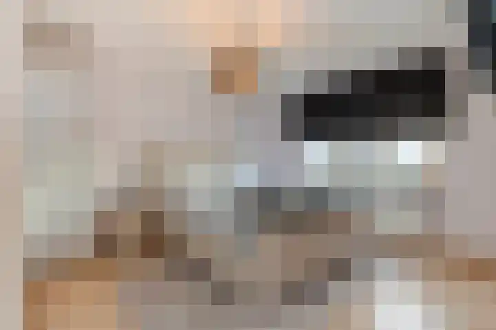Dijkveldstraat 49 Echt thumbnail 37