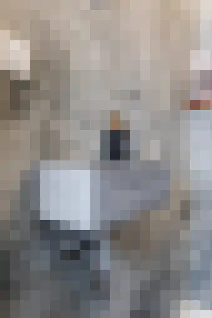 Dijkveldstraat 56 Echt thumbnail 22