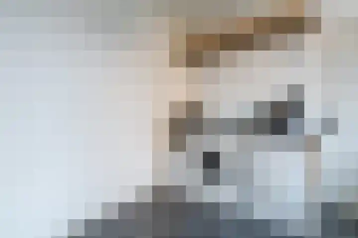 Dijkveldstraat 56 Echt thumbnail 23