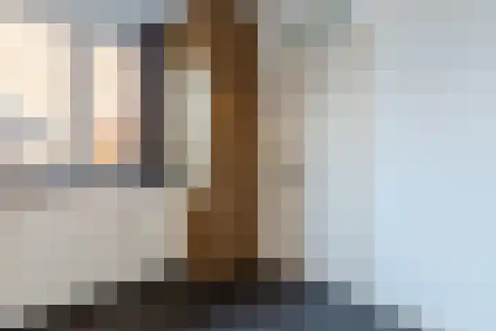 Dijkveldstraat 56 Echt thumbnail 25