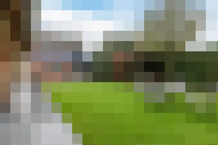 Dijkveldstraat 56 Echt thumbnail 31