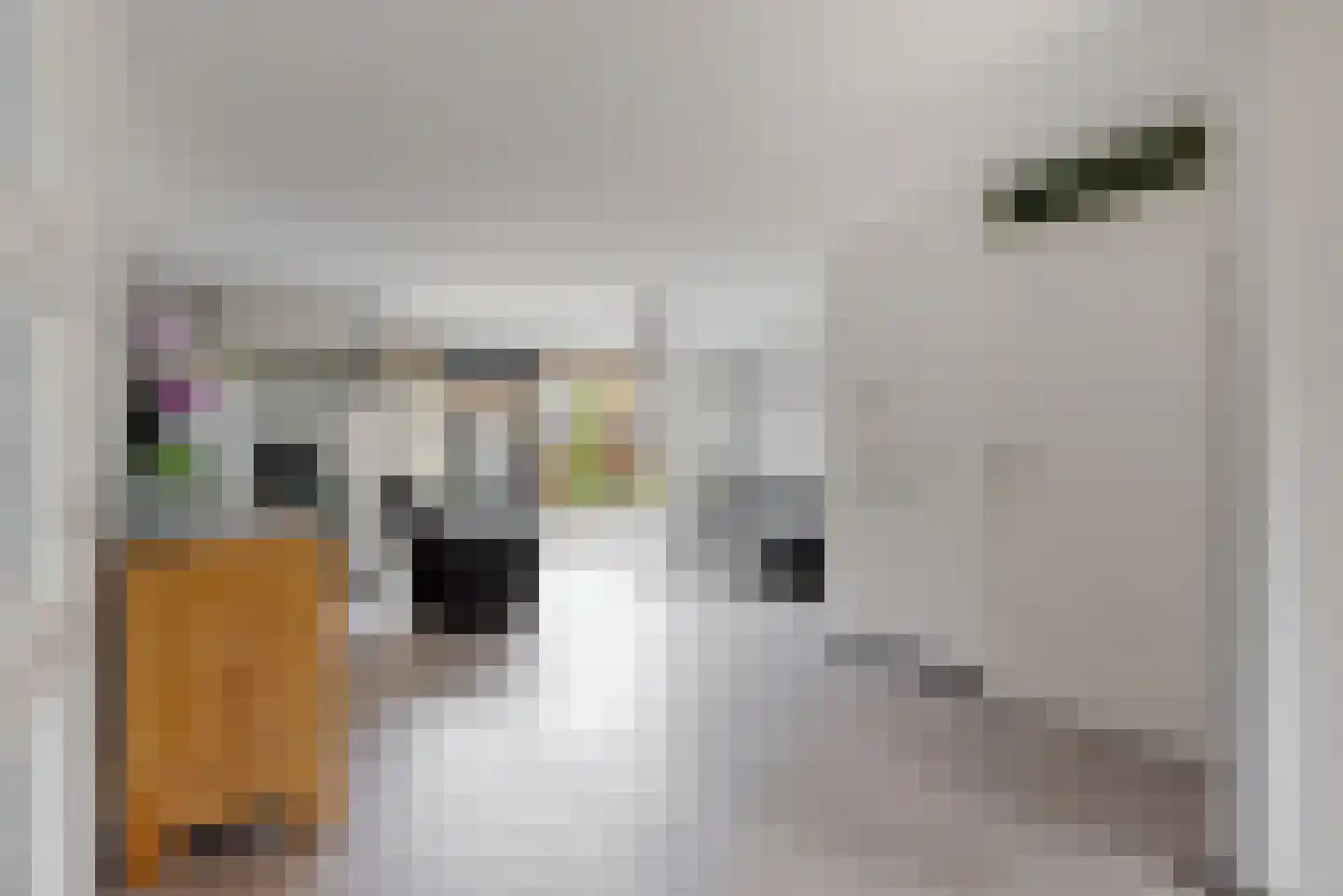 Dijkven 1 Zaandam thumbnail 10