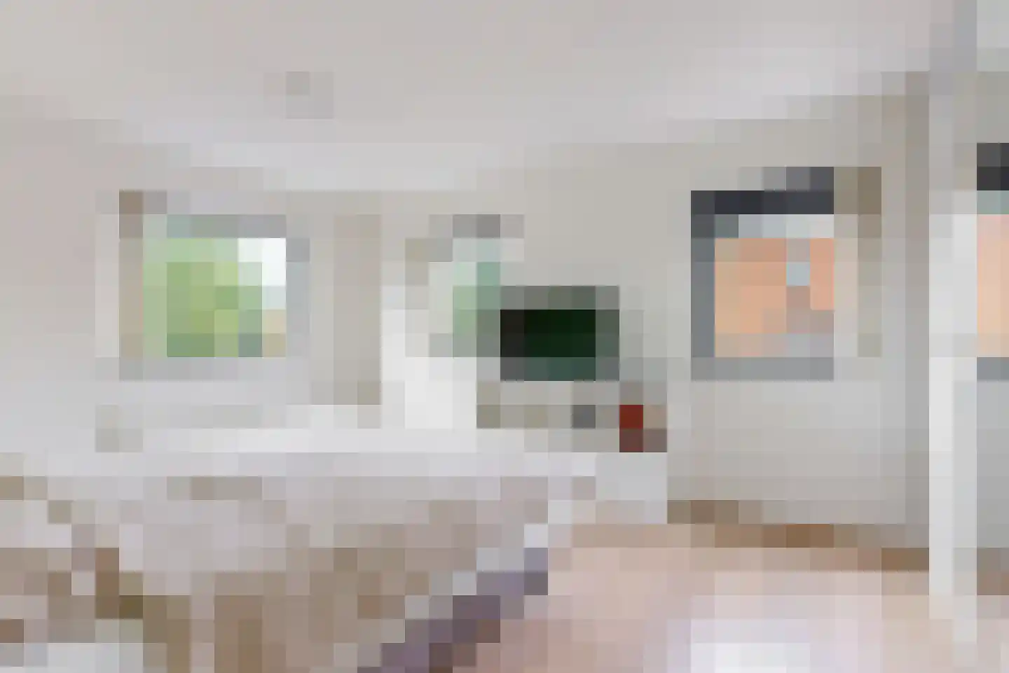 Dijkven 1 Zaandam thumbnail 17