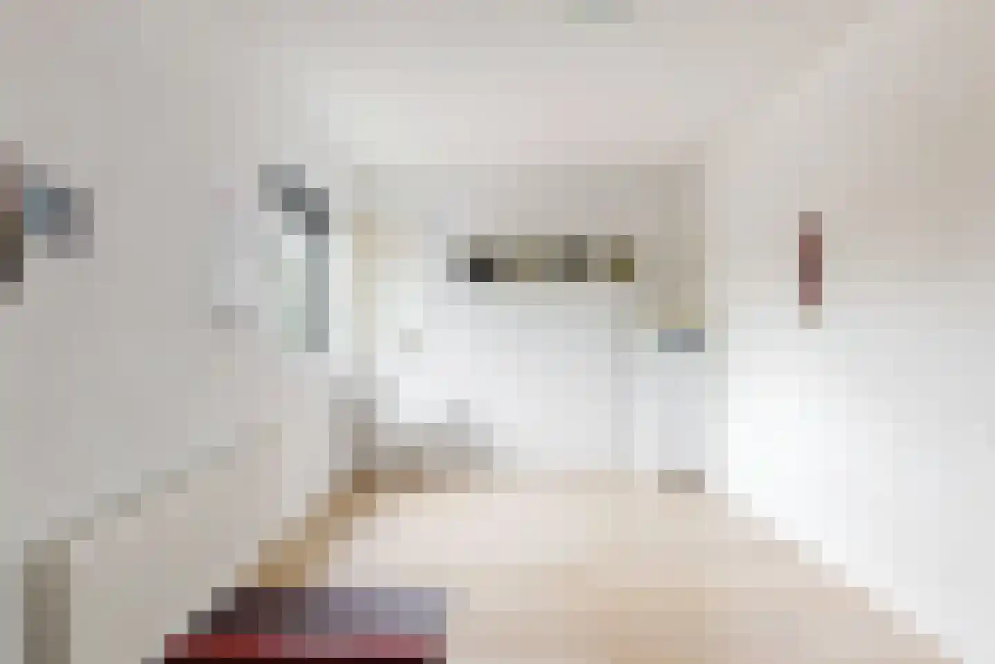 Dijkven 1 Zaandam thumbnail 19