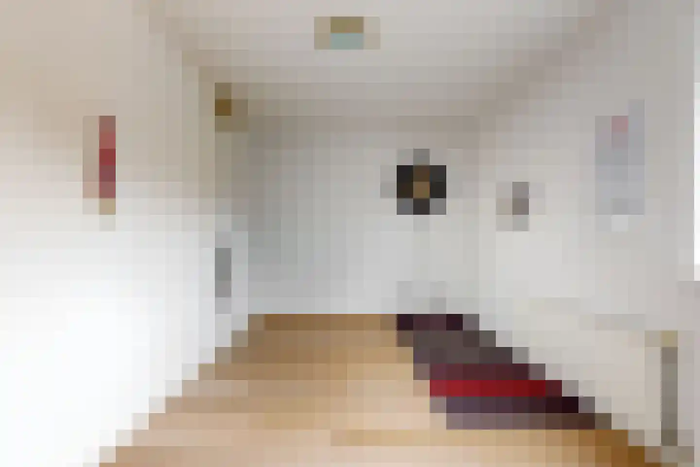 Dijkven 1 Zaandam thumbnail 20