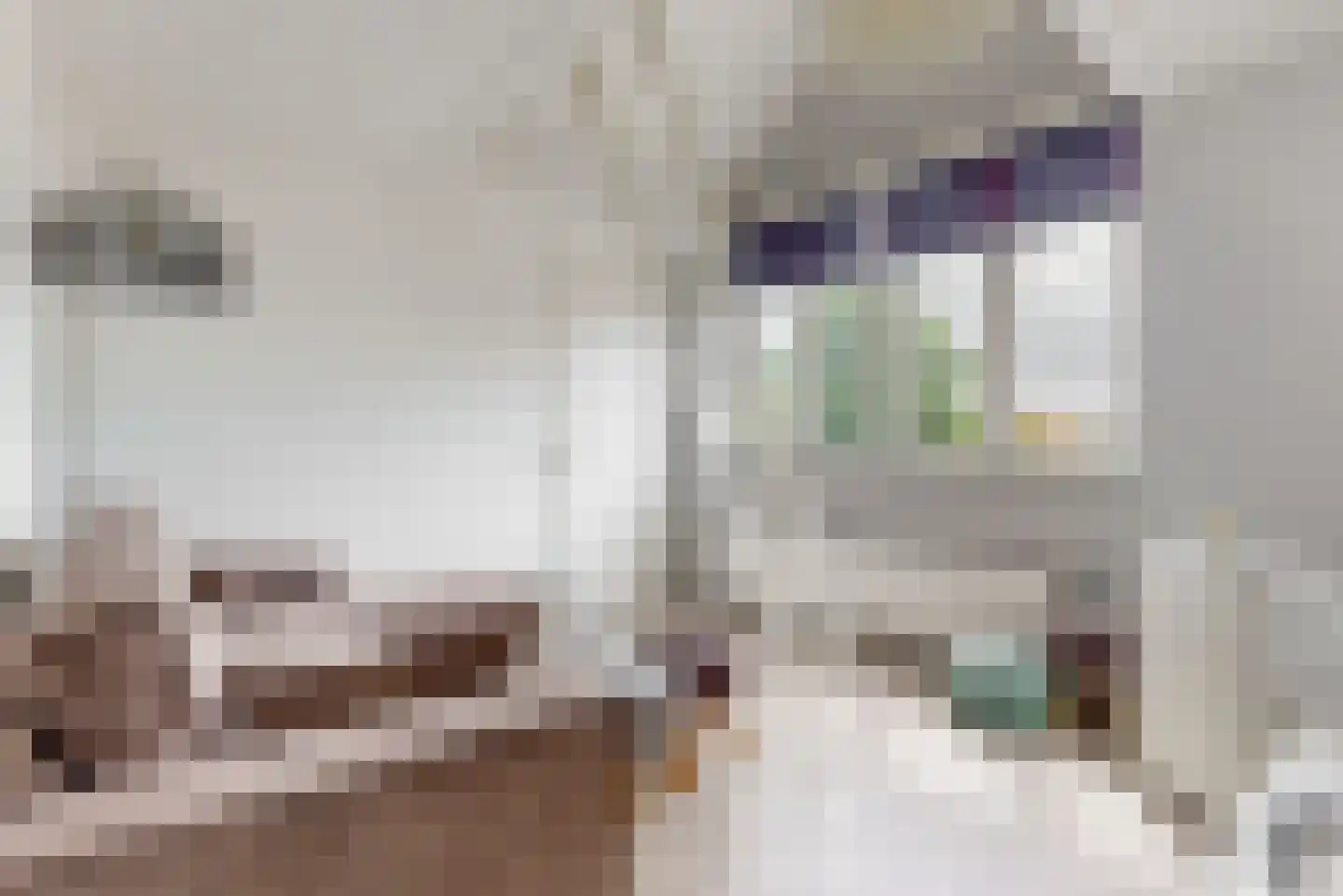 Dijkven 1 Zaandam thumbnail 23