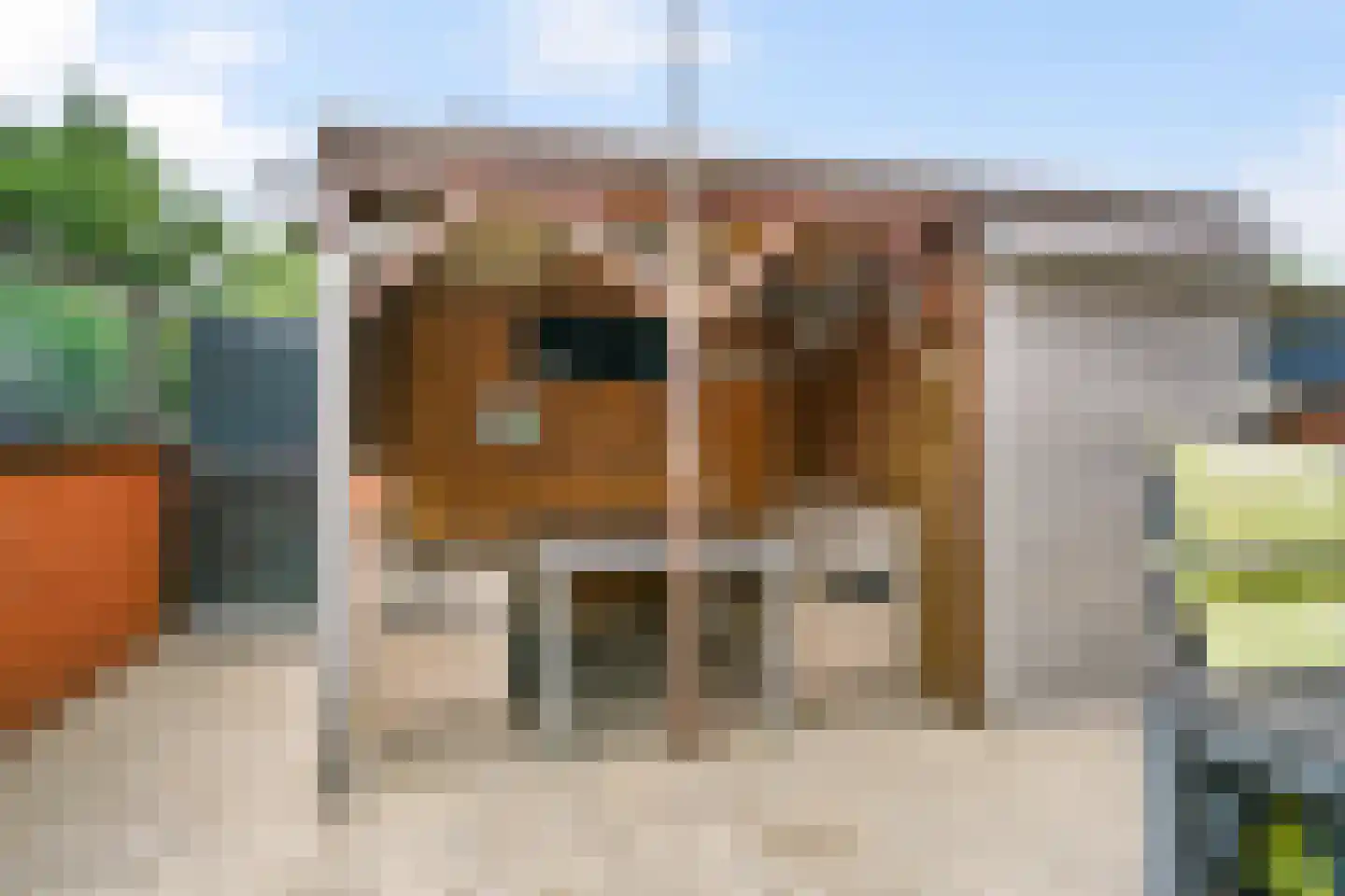 Dijkven 1 Zaandam thumbnail 34