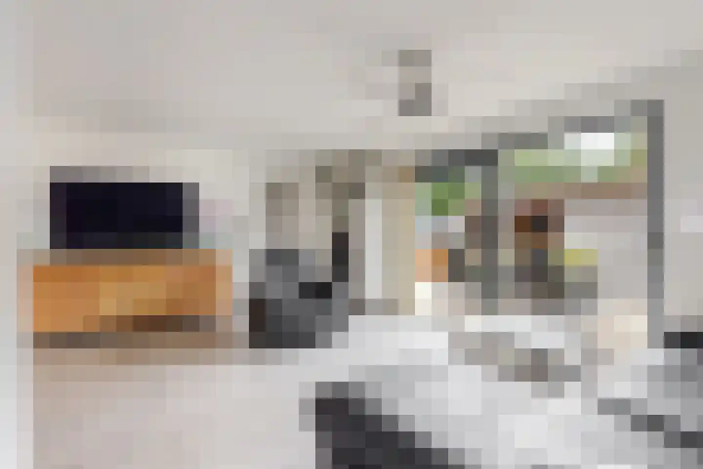 Dijkven 1 Zaandam thumbnail 4