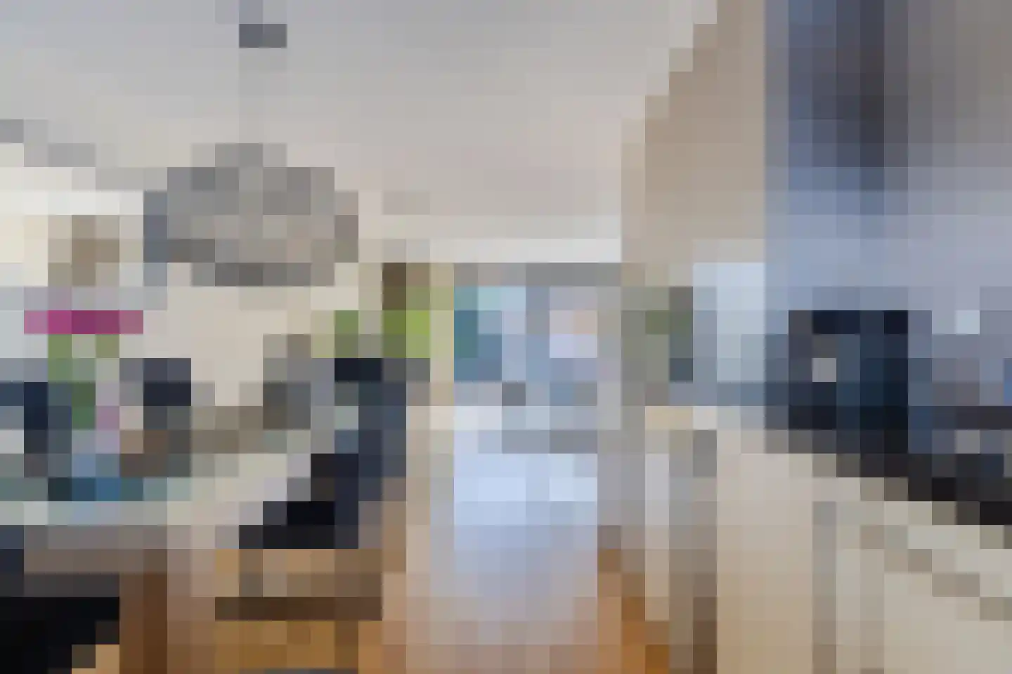 Dijkven 23 Zaandam thumbnail 17