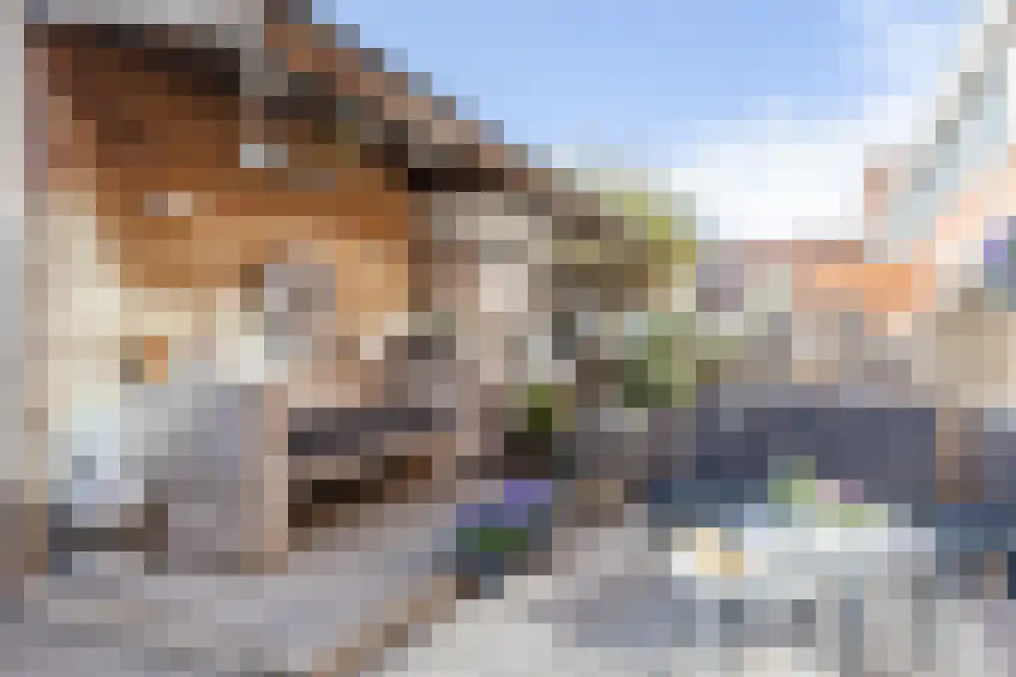 Dijkven 23 Zaandam thumbnail 34