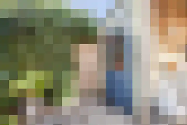 Dijkven 23 Zaandam thumbnail 37