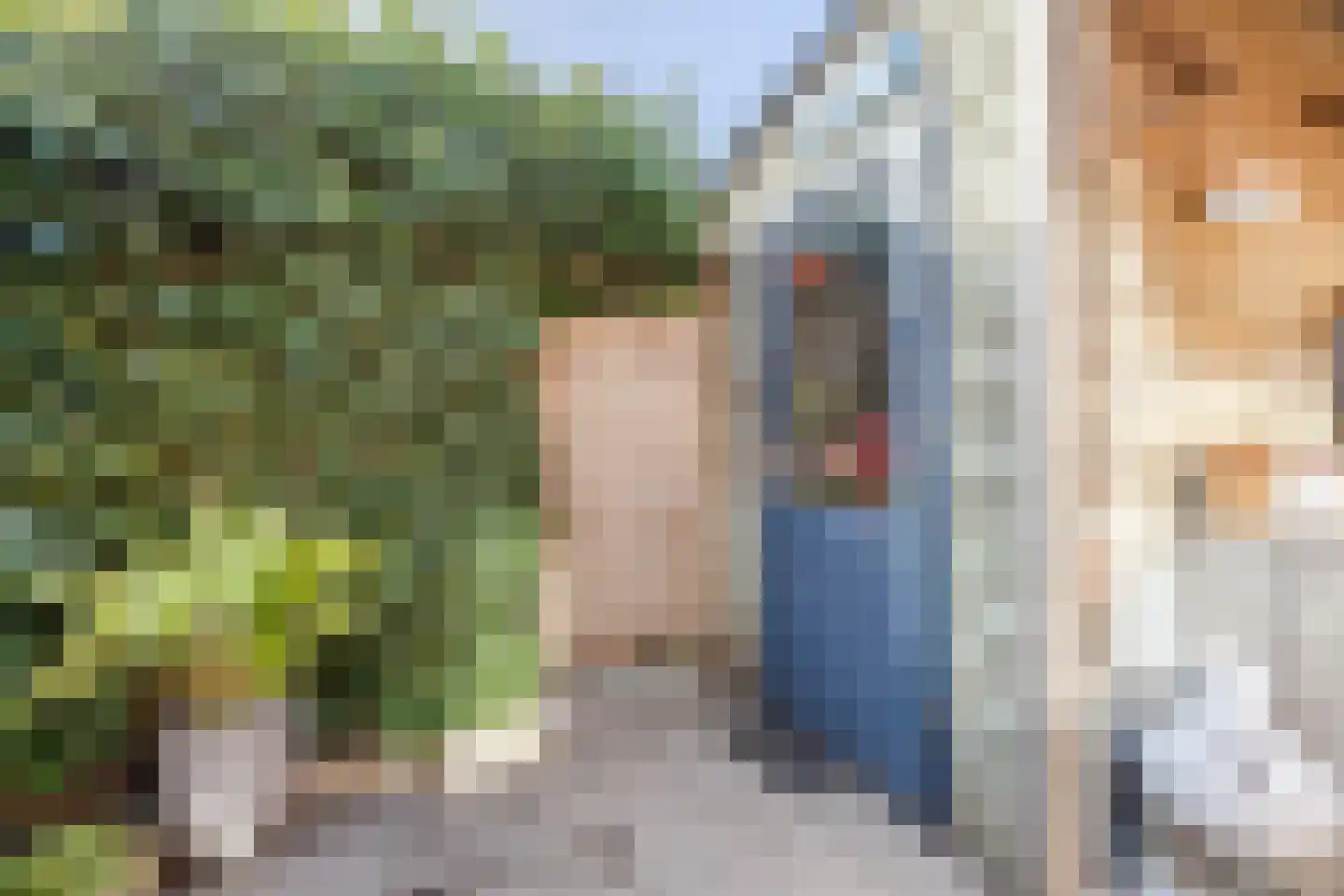 Dijkven 23 Zaandam thumbnail 37