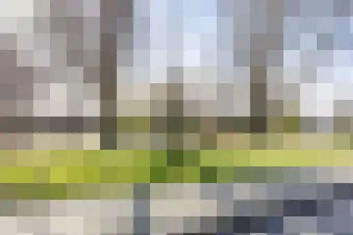Dijkven 23 Zaandam thumbnail 39