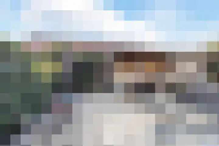Dijkven 23 Zaandam thumbnail 5