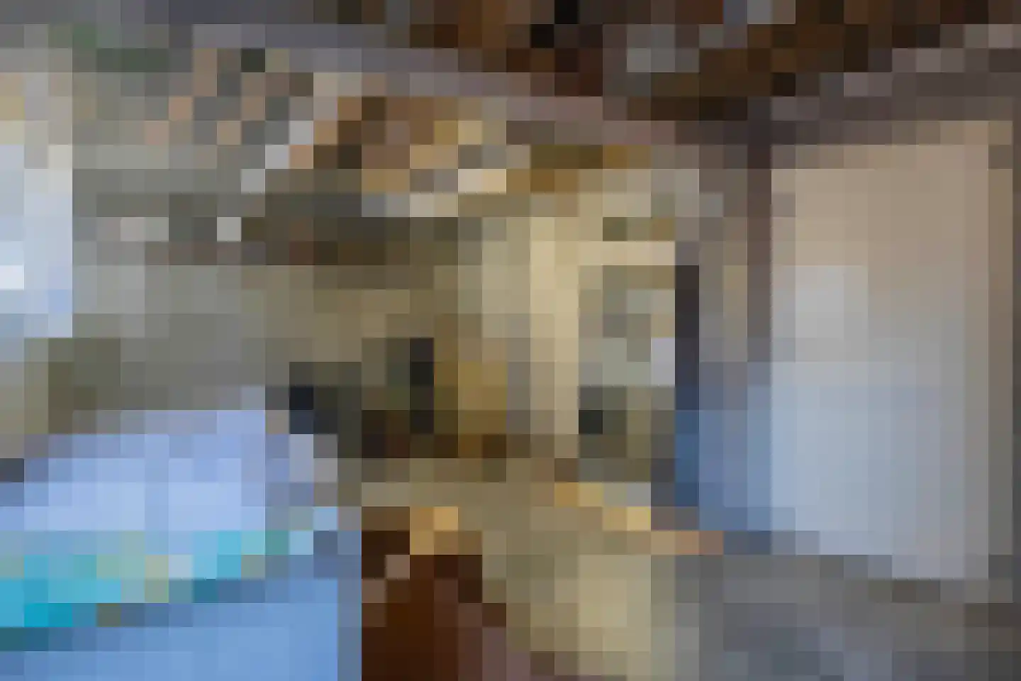 Dijkvennenplein 15 Volendam thumbnail 30