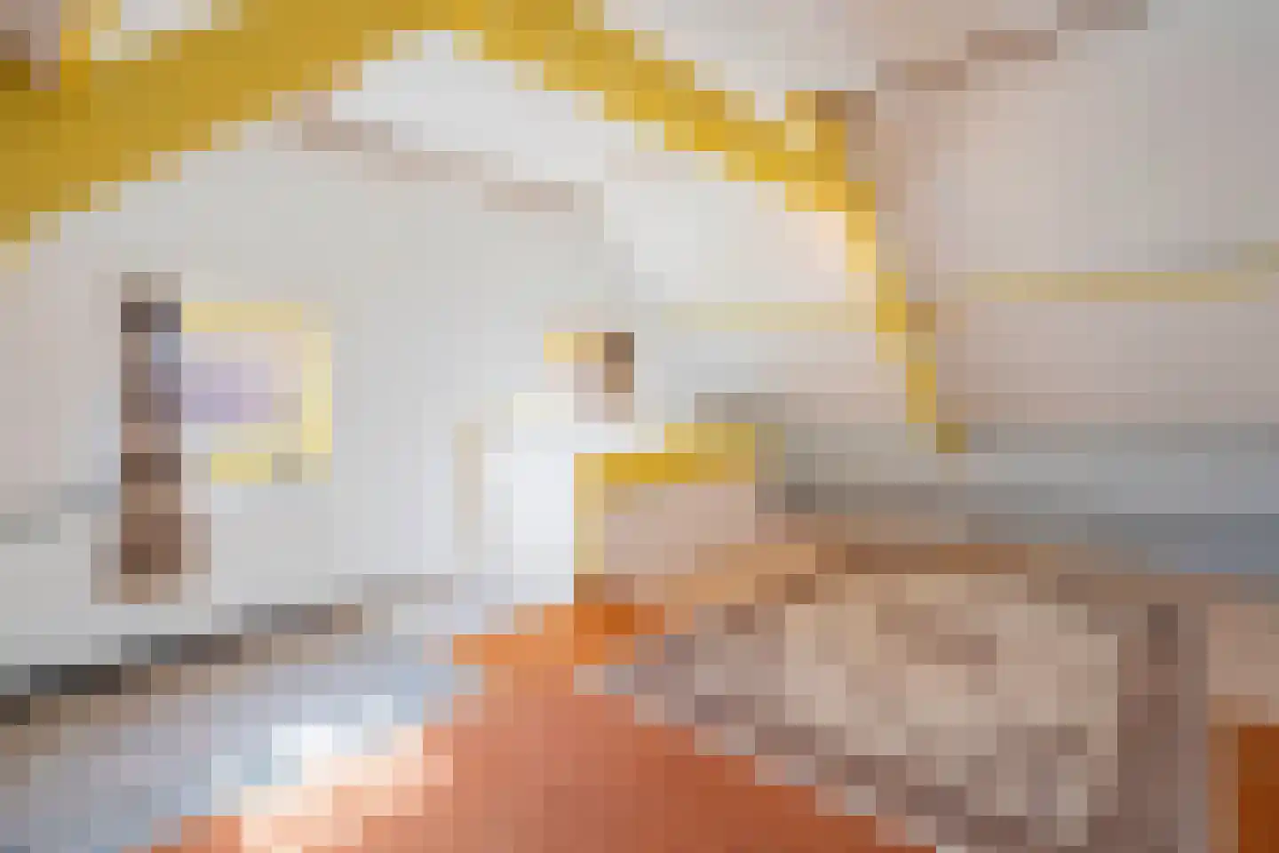Dijkvennenplein 15 Volendam thumbnail 53