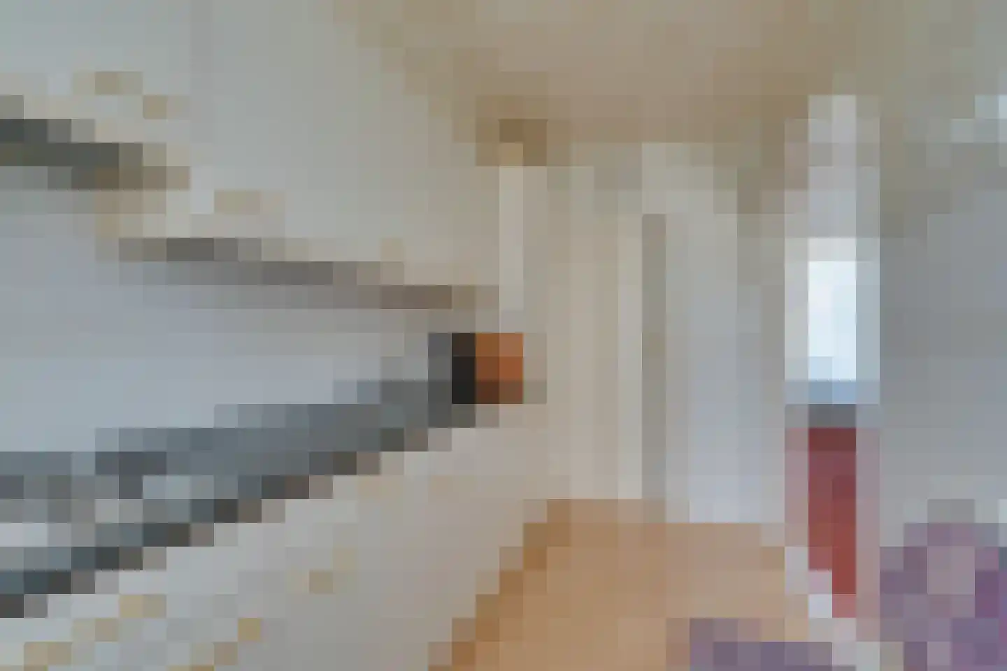 Dijkvennenplein 9 Volendam thumbnail 20