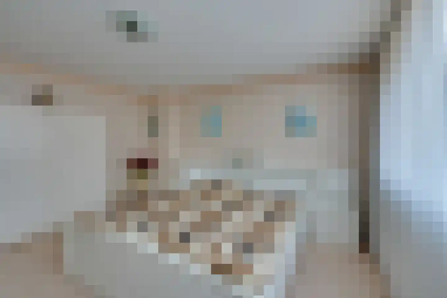 Dijkvennenplein 9 Volendam thumbnail 31
