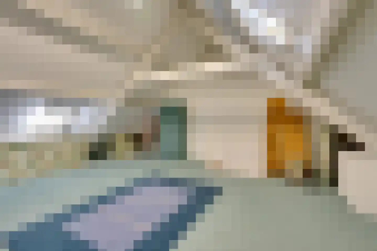 Dijkvennenplein 9 Volendam thumbnail 44