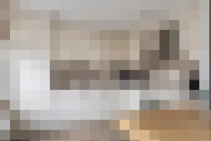 Dijkwacht 128 Leiderdorp thumbnail 10