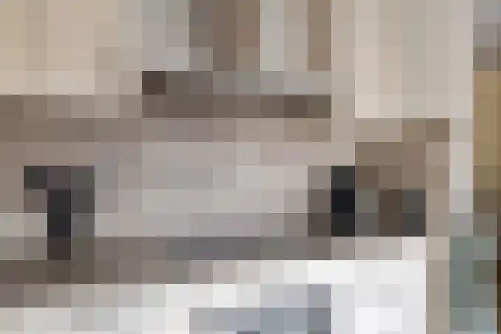 Dijkwacht 128 Leiderdorp thumbnail 11