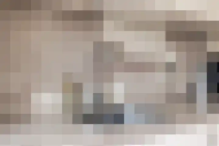 Dijkwacht 128 Leiderdorp thumbnail 12