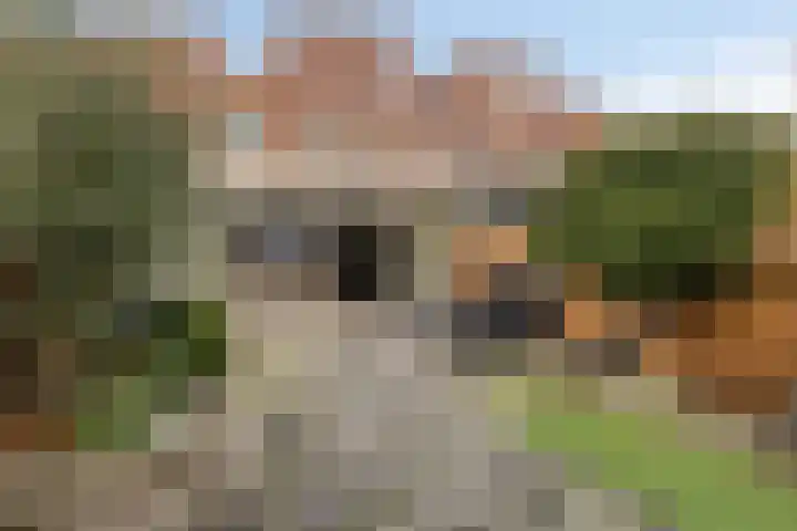 Dijkwacht 128 Leiderdorp thumbnail 14