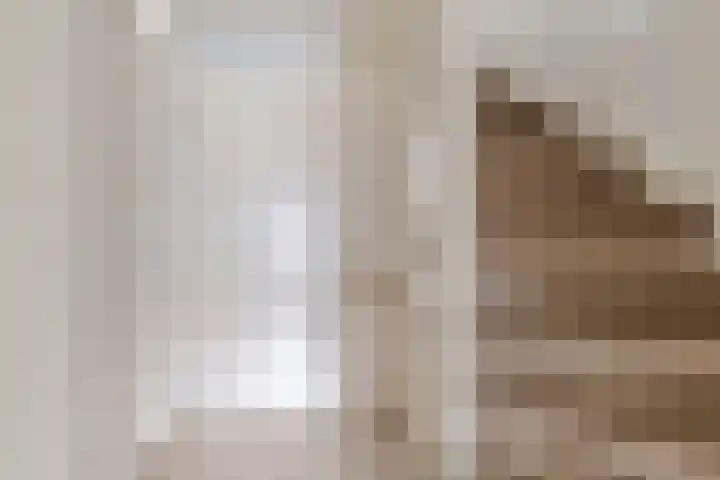 Dijkwacht 128 Leiderdorp thumbnail 18