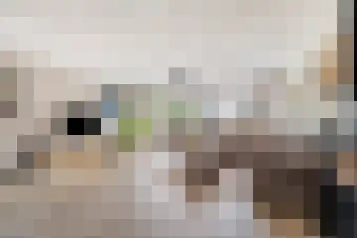 Dijkwacht 128 Leiderdorp foto 2