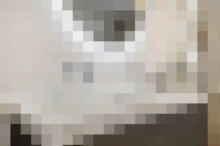 Dijkwacht 128 Leiderdorp thumbnail 24