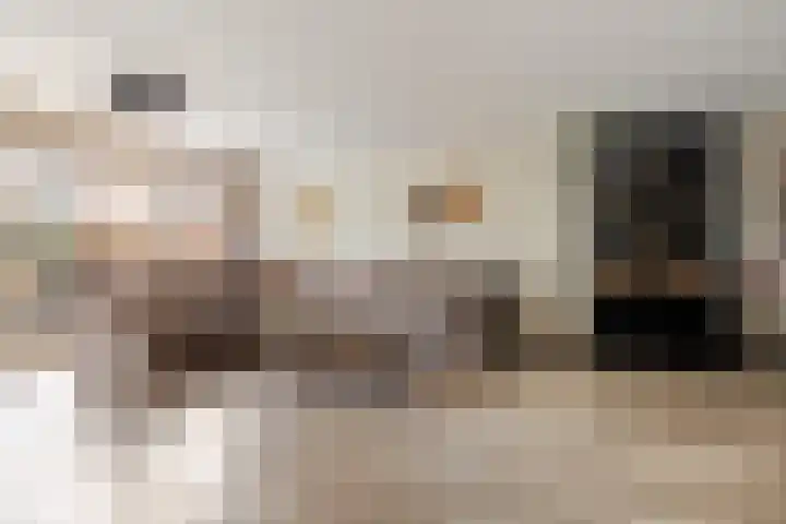 Dijkwacht 128 Leiderdorp foto 3