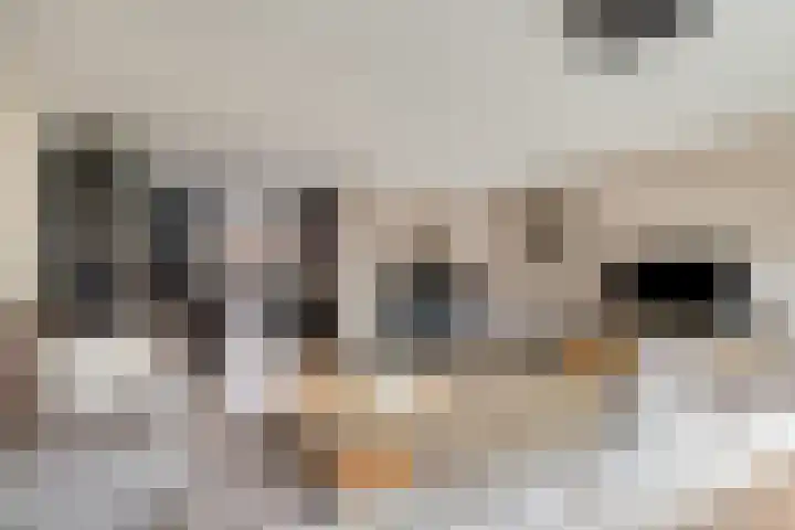 Dijkwacht 128 Leiderdorp thumbnail 5