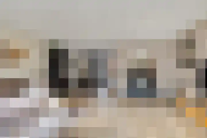 Dijkwacht 128 Leiderdorp thumbnail 6