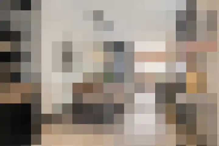 Dijkwacht 128 Leiderdorp thumbnail 7
