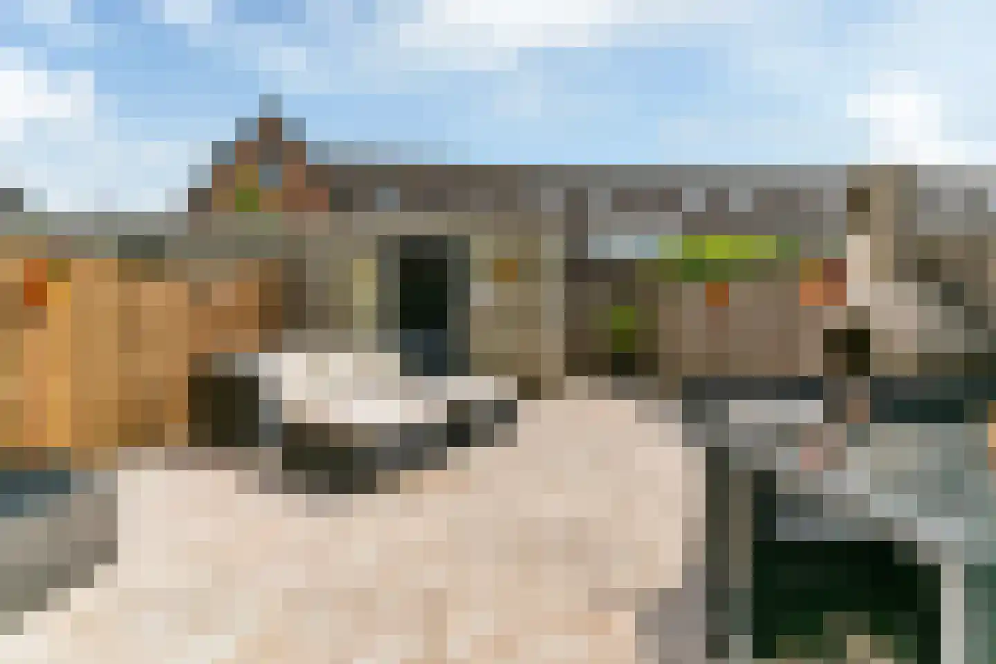 Dijkwacht 140 Leiderdorp thumbnail 35