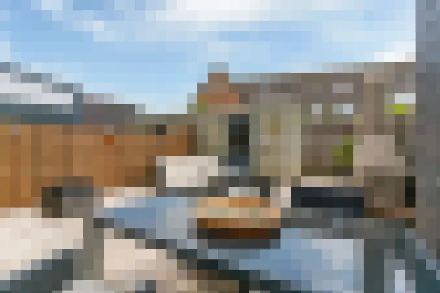 Dijkwacht 140 Leiderdorp thumbnail 36