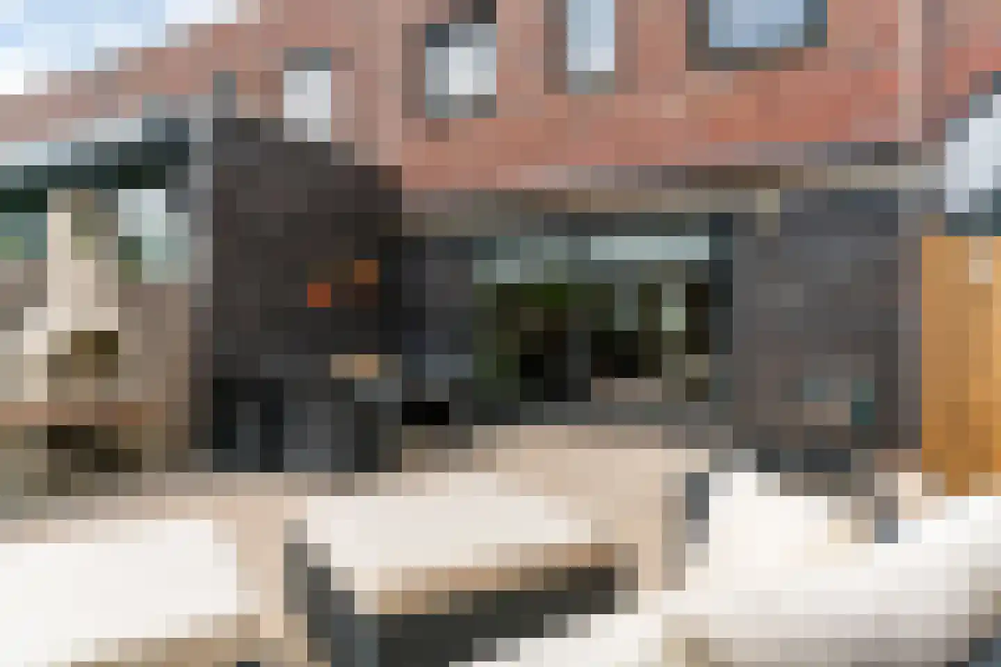 Dijkwacht 140 Leiderdorp thumbnail 40