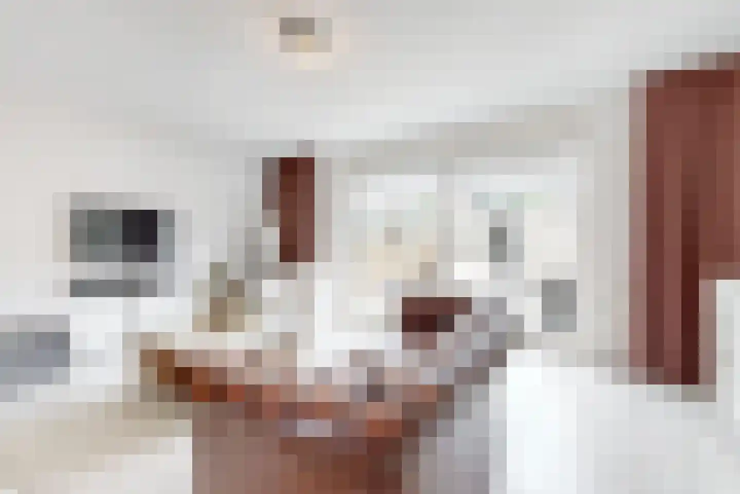 Dijkwacht 140 Leiderdorp thumbnail 9