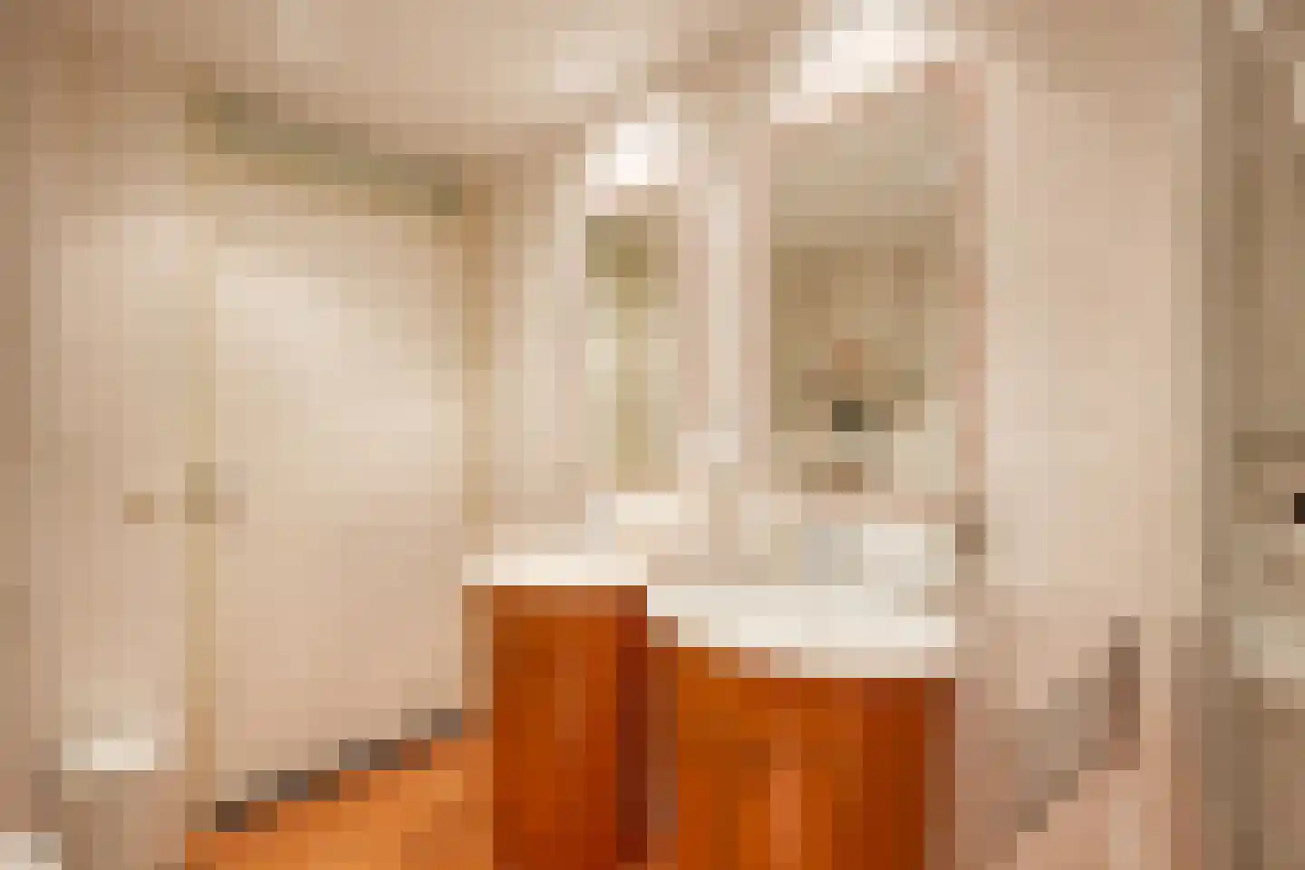 Dijkwacht 76 Leiderdorp thumbnail 23